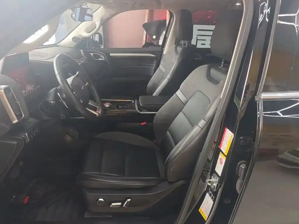 Haval Big Dog 2022 2.0T DCT 4WD Howling Dog Edition — миниатюра 15