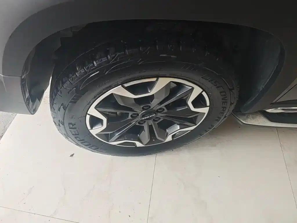 Haval Big Dog 2022 2.0T DCT 4WD Howling Dog Edition — миниатюра 23