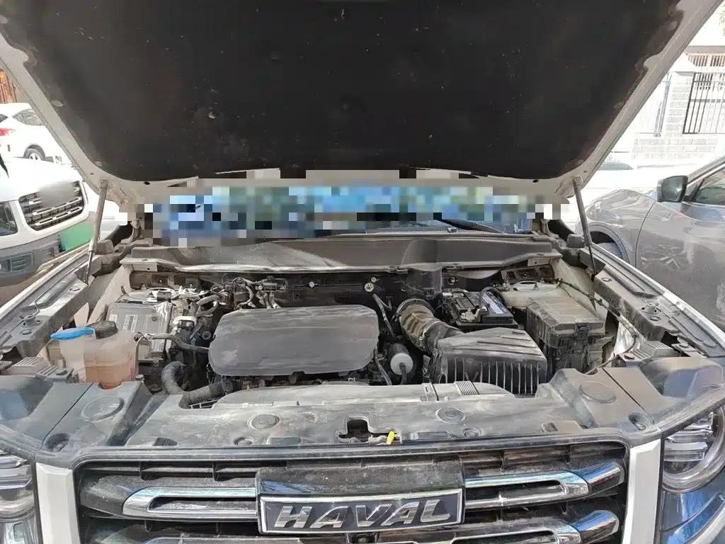 Haval Big Dog 2022 1.5T DCT 2WD Border Collie Edition — миниатюра 11