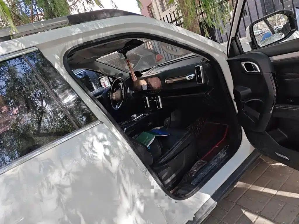 Haval Big Dog 2022 1.5T DCT 2WD Border Collie Edition — миниатюра 20