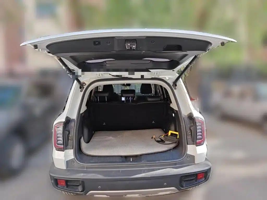 Haval Big Dog 2022 1.5T DCT 2WD Border Collie Edition — миниатюра 10