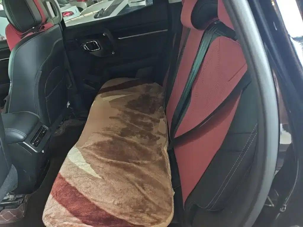 Haval Big Dog PLUS 2023 2.0T 4WD Trendy Wild Plus — миниатюра 17