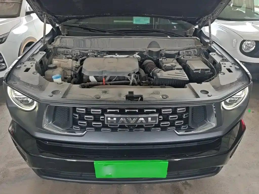 Haval Big Dog PLUS 2023 2.0T 4WD Trendy Wild Plus — миниатюра 20
