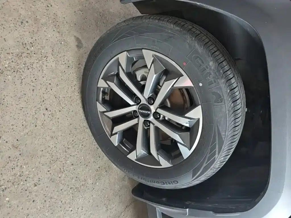 Haval Big Dog PLUS 2023 2.0T 4WD Trendy Wild Plus — миниатюра 23
