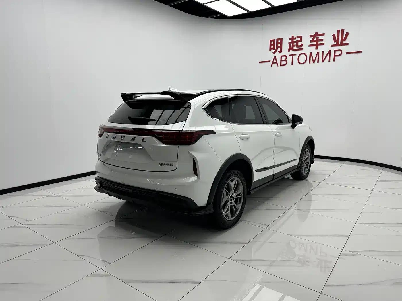 Haval Chitu 2022 Enjoy Edition 1.5T Bronze Rabbit — миниатюра 8