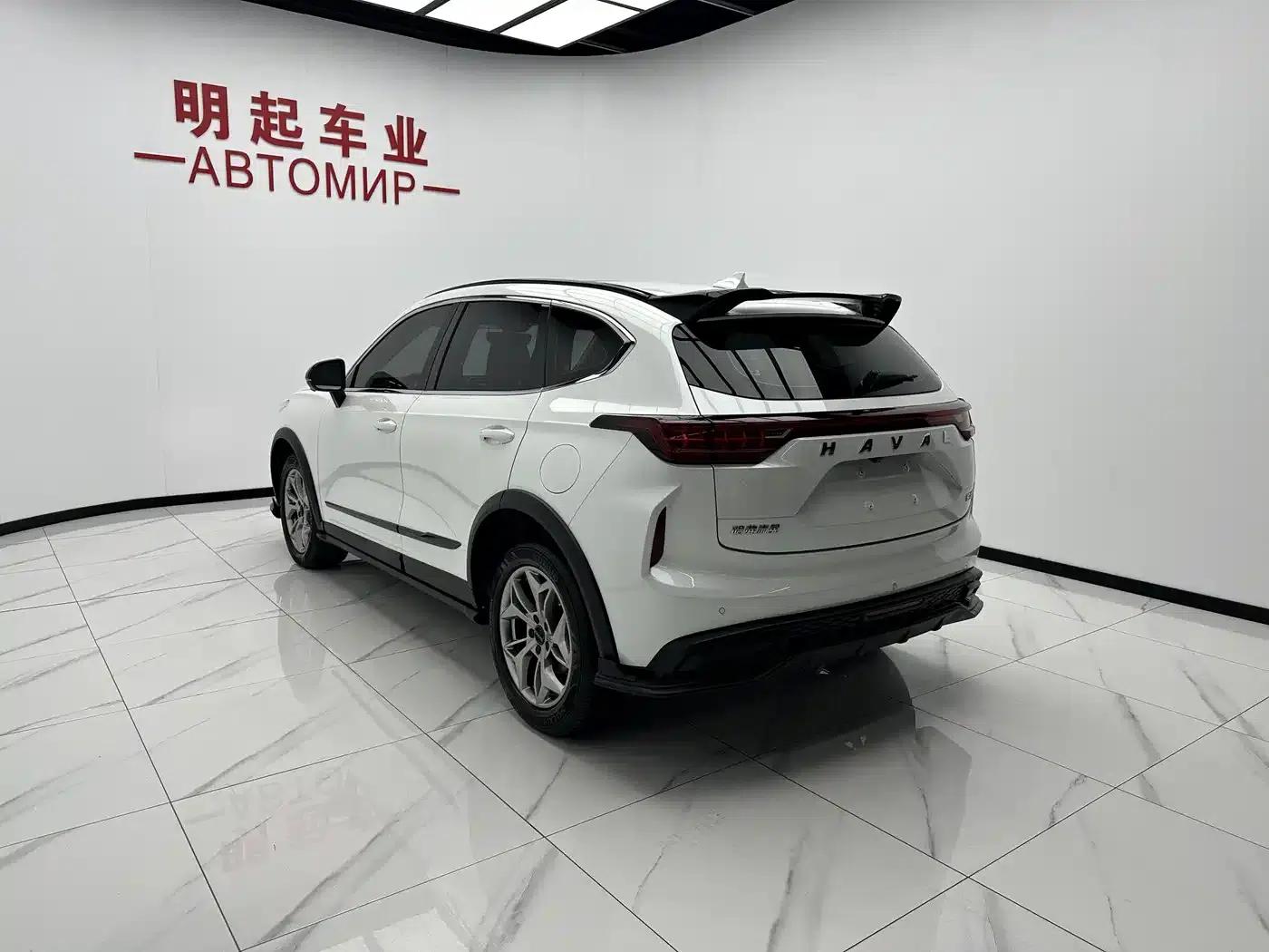 Haval Chitu 2022 Enjoy Edition 1.5T Bronze Rabbit — миниатюра 9
