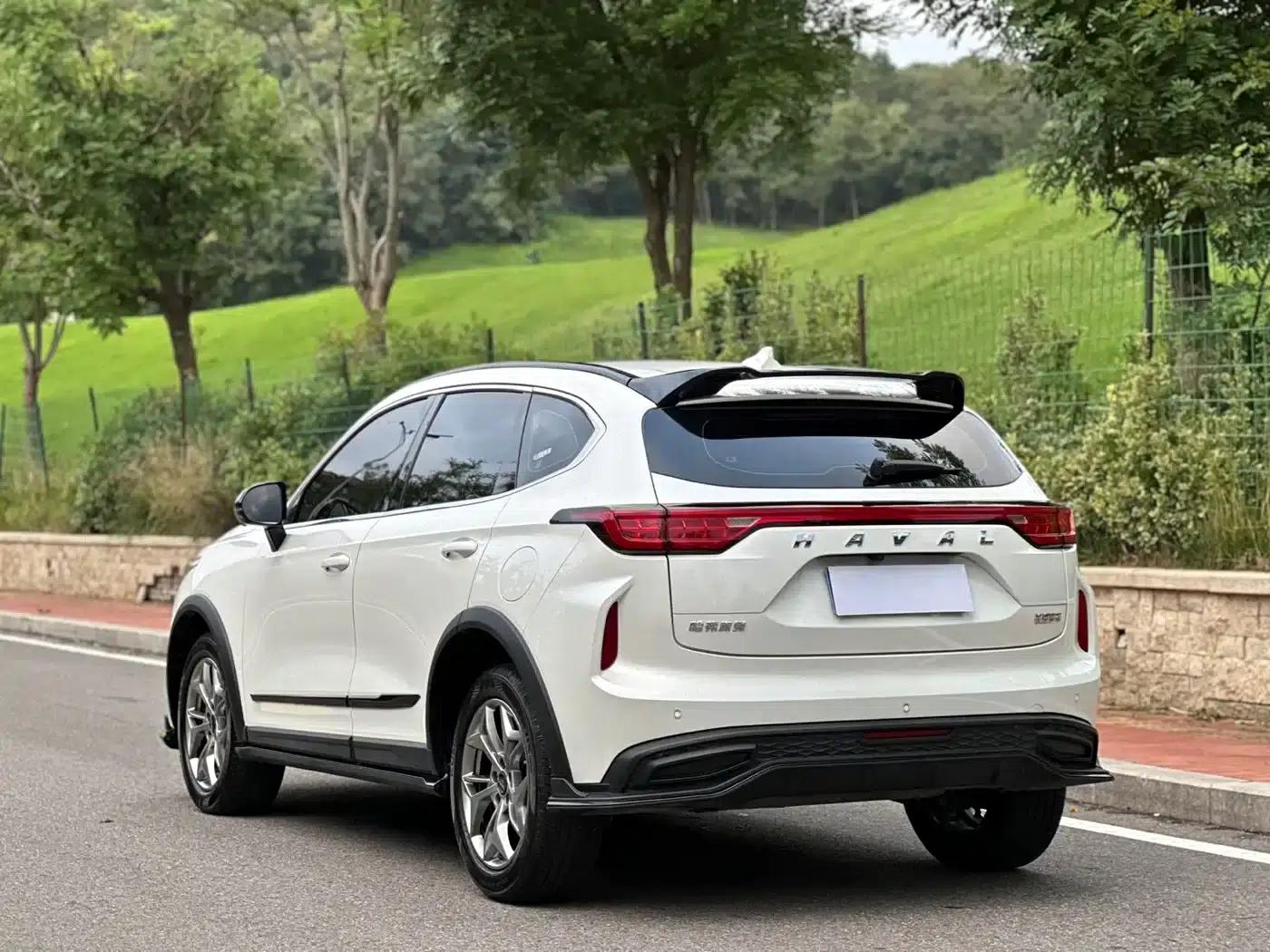 Haval Chitu 2022 Enjoy Edition 1.5T Bronze Rabbit — миниатюра 5