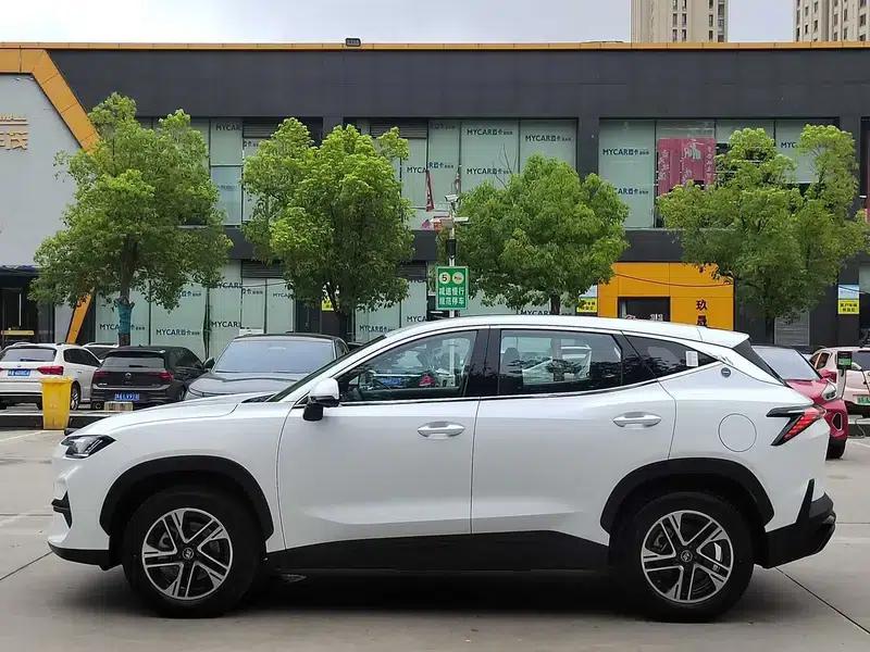 Jetour Mountain & Sea L6 2024 1.5TD DHT MAX — миниатюра 4