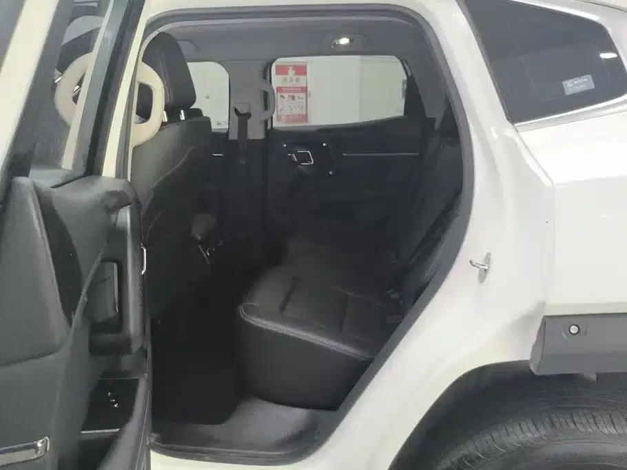 Haval Big Dog PLUS New Energy 2023 DHT-PHEV 105km Trendy Electric Edition Plus — миниатюра 11