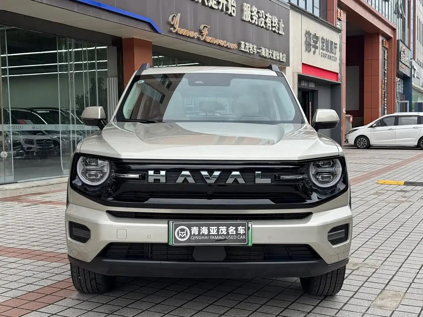 Haval Big Dog PLUS New Energy 2026 Hi4 150km Trendy Electric Edition — миниатюра 2