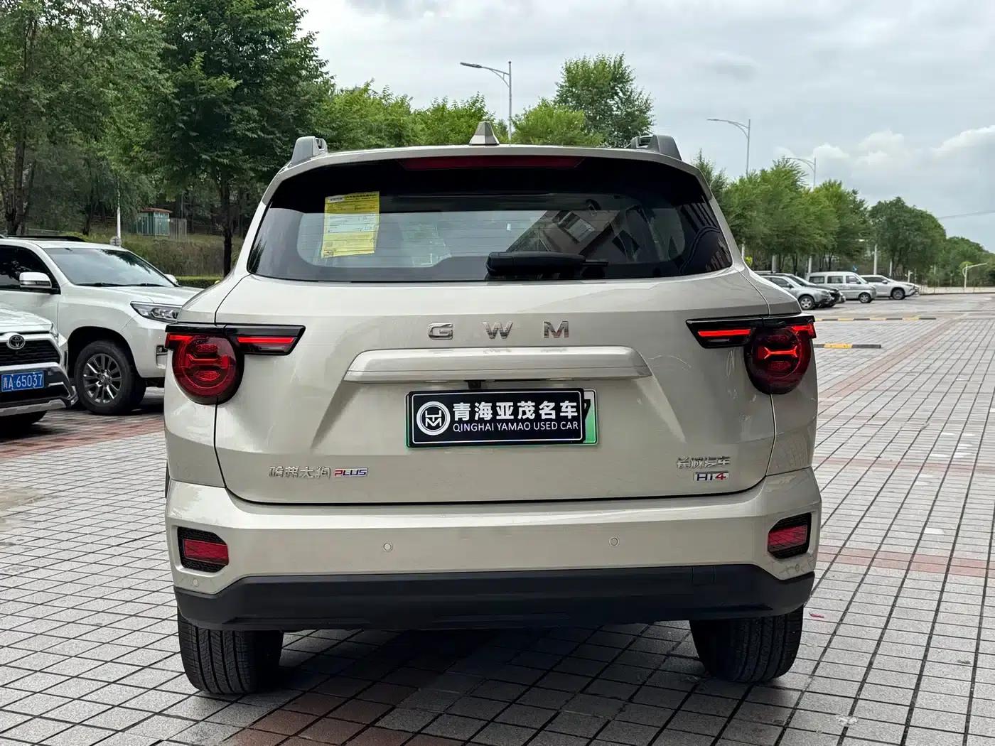 Haval Big Dog PLUS New Energy 2026 Hi4 150km Trendy Electric Edition — миниатюра 16