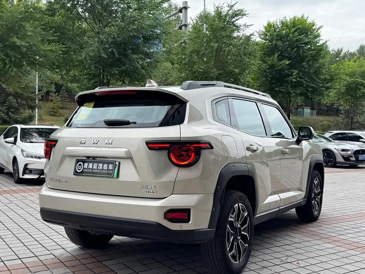 Haval Big Dog PLUS New Energy 2026 Hi4 150km Trendy Electric Edition — миниатюра 18