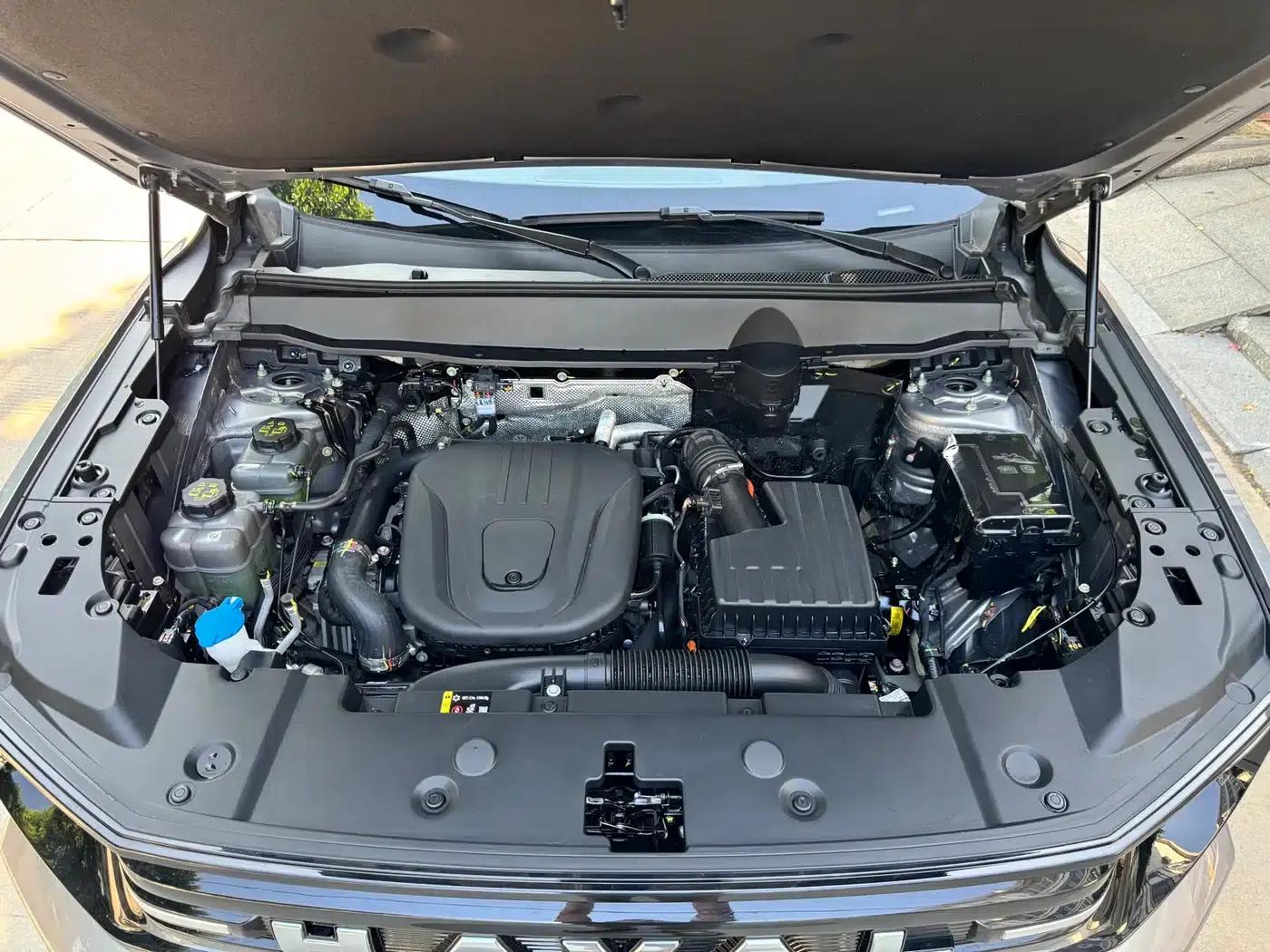 Haval Big Dog PLUS New Energy 2026 Hi4 150km Trendy Electric Edition — миниатюра 17