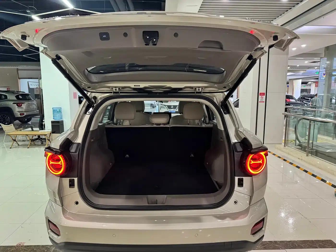 Haval Big Dog PLUS New Energy 2026 Hi4 150km Trendy Electric Edition — миниатюра 19
