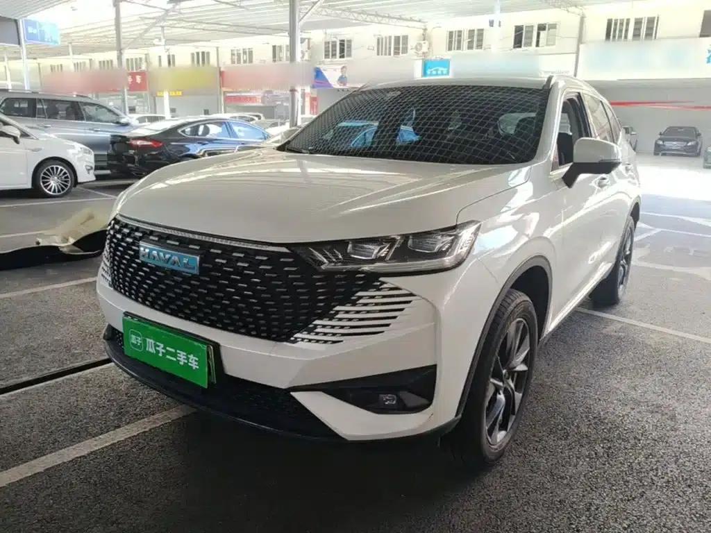Haval H6 New Energy 2023 DHT-PHEV 110KM Joyful Edition — миниатюра 2