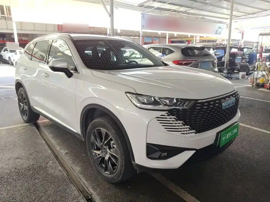 Haval H6 New Energy 2023 DHT-PHEV 110KM Joyful Edition — миниатюра 22