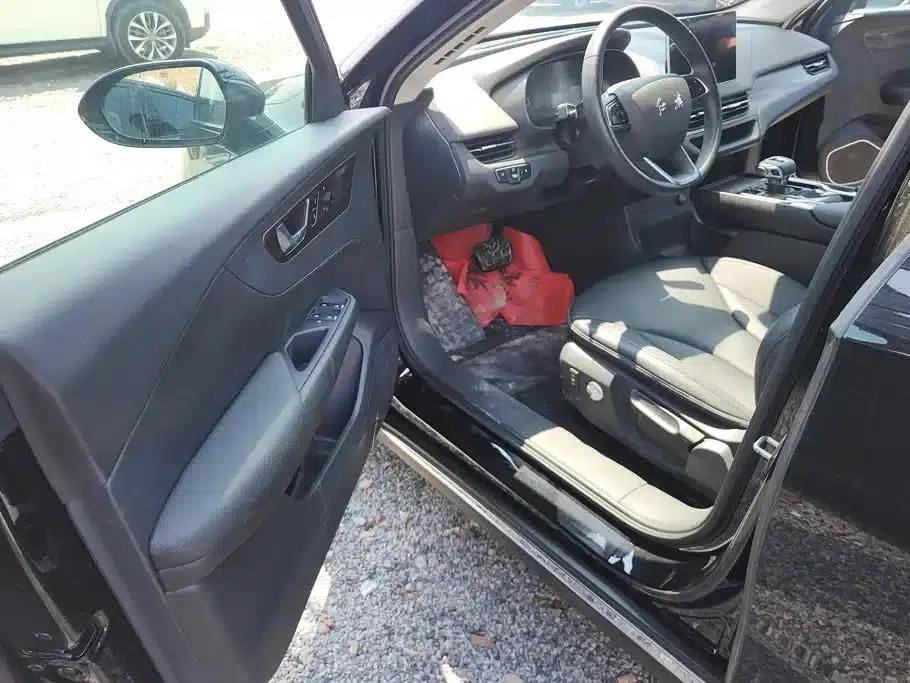 Hongqi E-QM5 2023 Basic Travel Edition — миниатюра 9