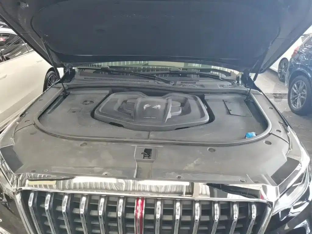Hongqi HS7 2021 2.0T DCT 2WD Intelligent Flagship Edition — миниатюра 20
