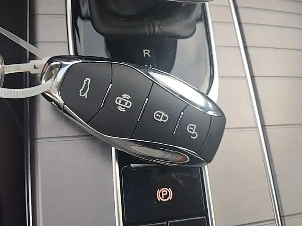 Hongqi HS7 PHEV 2024 2.0T PHEV 4WD Flagship Edition 6-seater — миниатюра 9