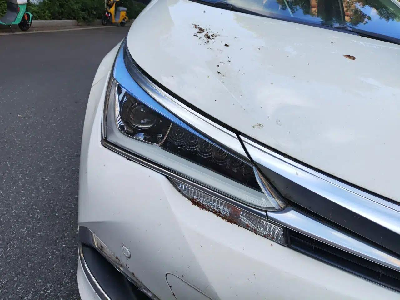 Toyota Corolla 2016 Dual-Engine 1.8L E-CVT Elite Edition — миниатюра 7