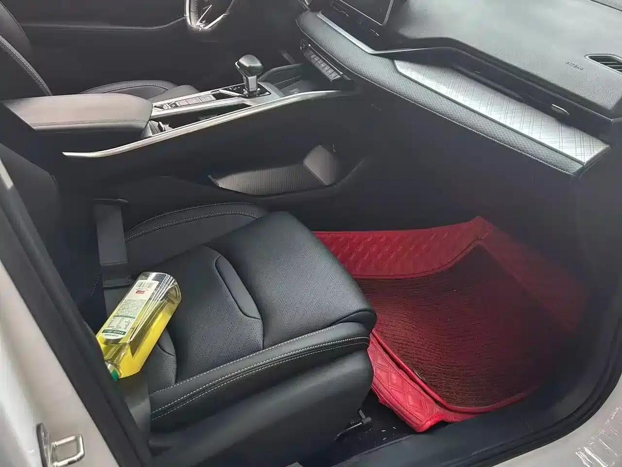 Xingrui 2021 2.0TD Luxury Edition — миниатюра 7