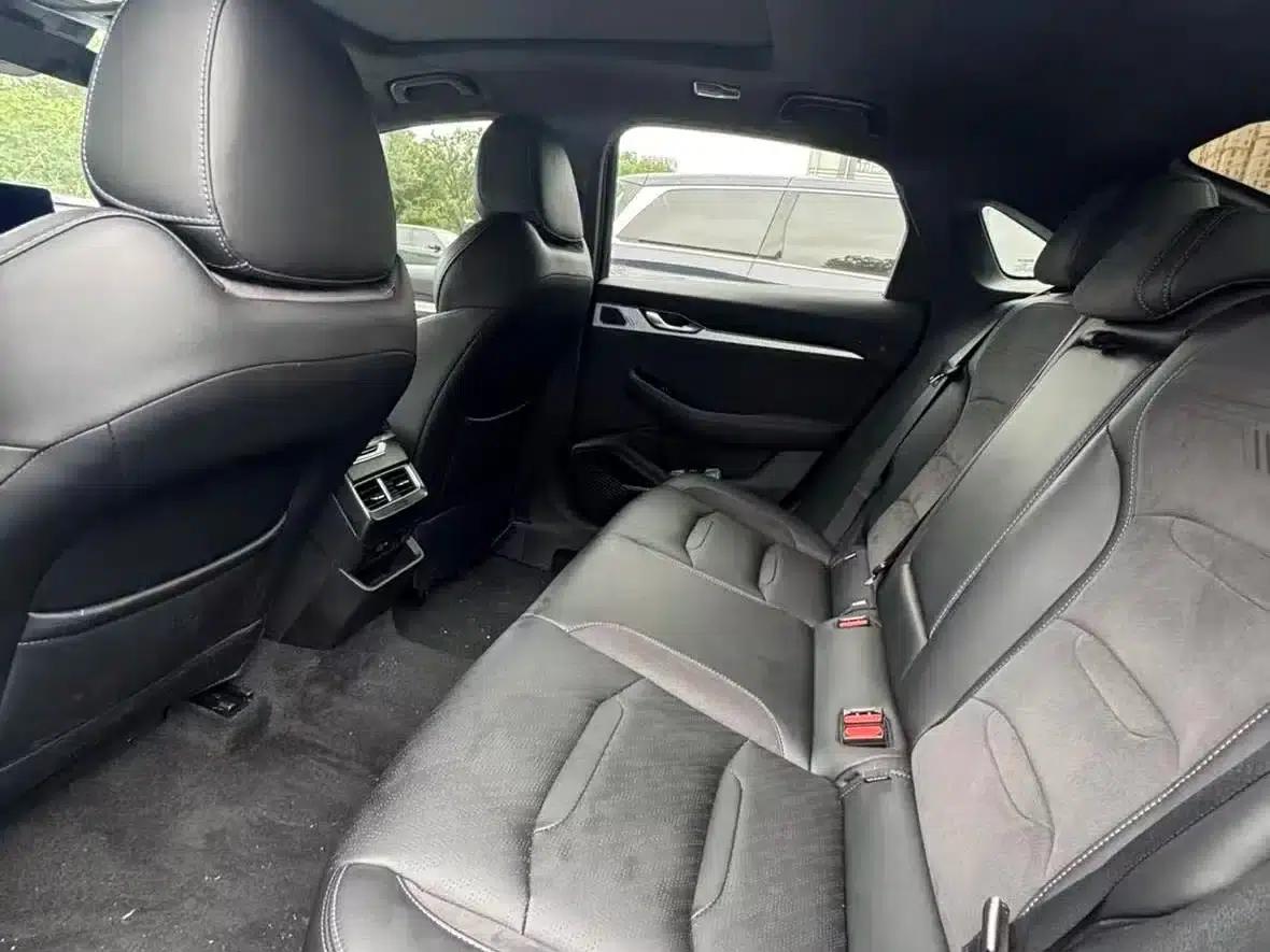 Xingrui 2023 2.0TD Luxury Edition — миниатюра 7