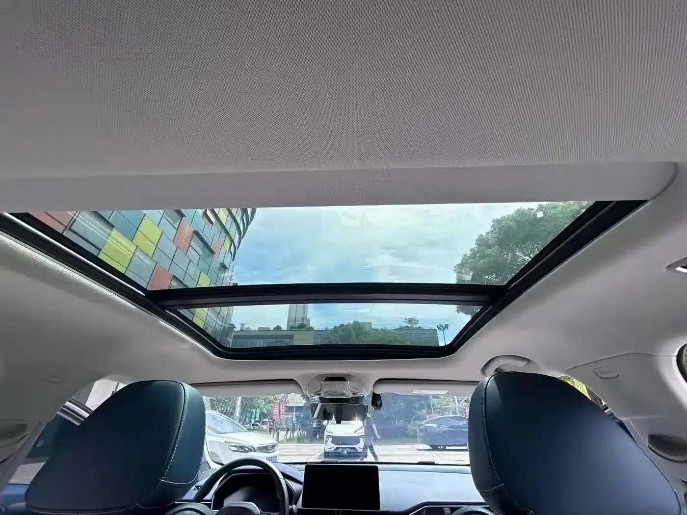 Xingrui 2023 2.0TD Luxury Edition — миниатюра 10