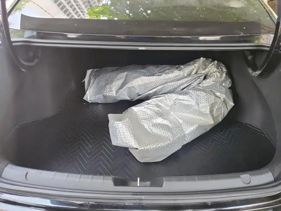 Xingrui 2021 Facelift 2.0TD Premium Edition — миниатюра 4