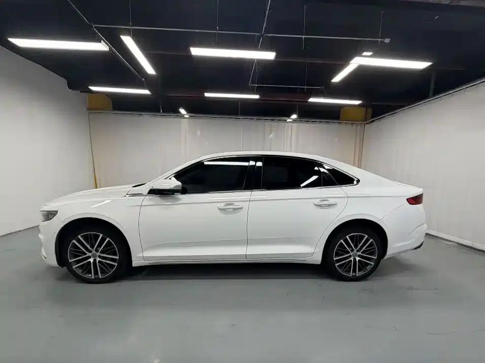 Xingrui 2021 2.0TD Luxury Edition — миниатюра 12