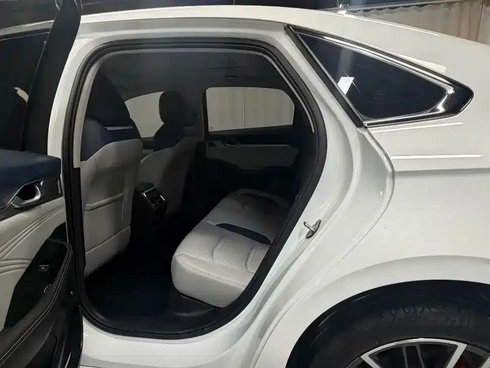 Xingrui 2021 2.0TD Luxury Edition — миниатюра 8