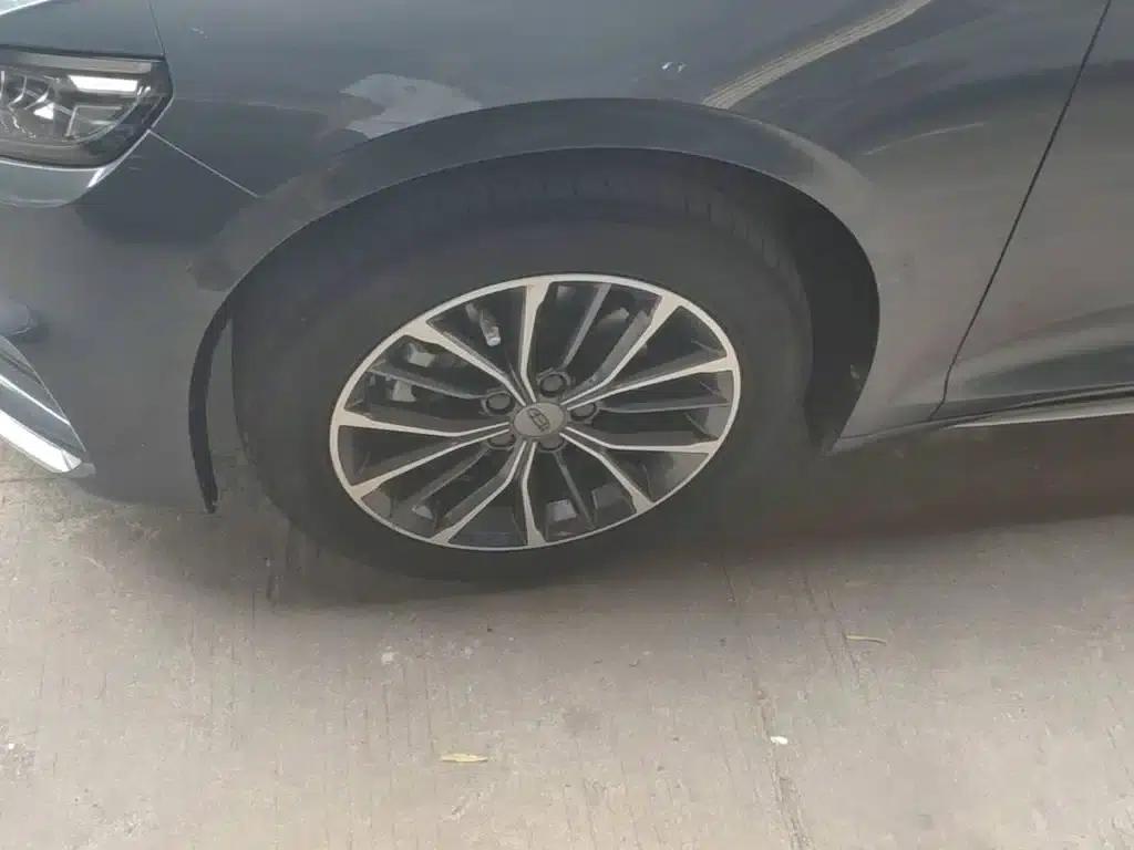 Xingrui 2021 2.0TD Luxury Edition — миниатюра 23