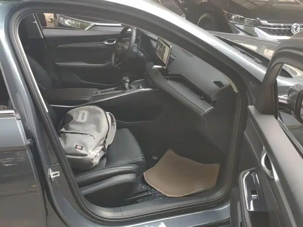 Xingrui 2021 2.0TD Luxury Edition — миниатюра 25
