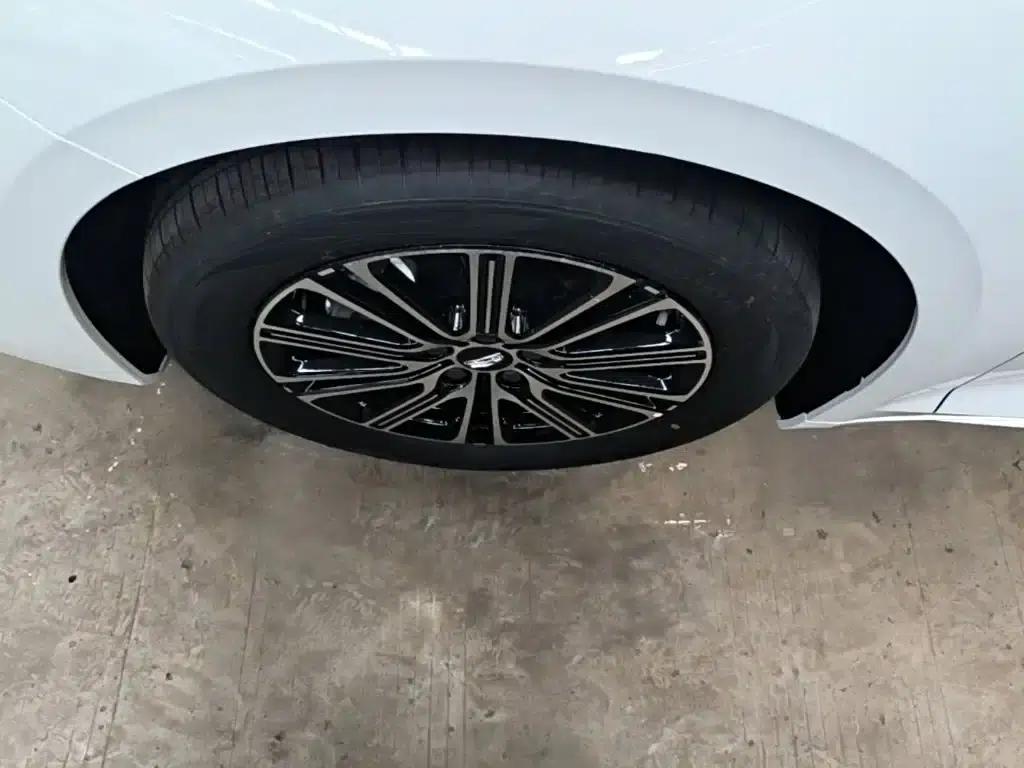 Xingrui 2026 Oriental Yao 1.5TD Fuyao Edition — миниатюра 22