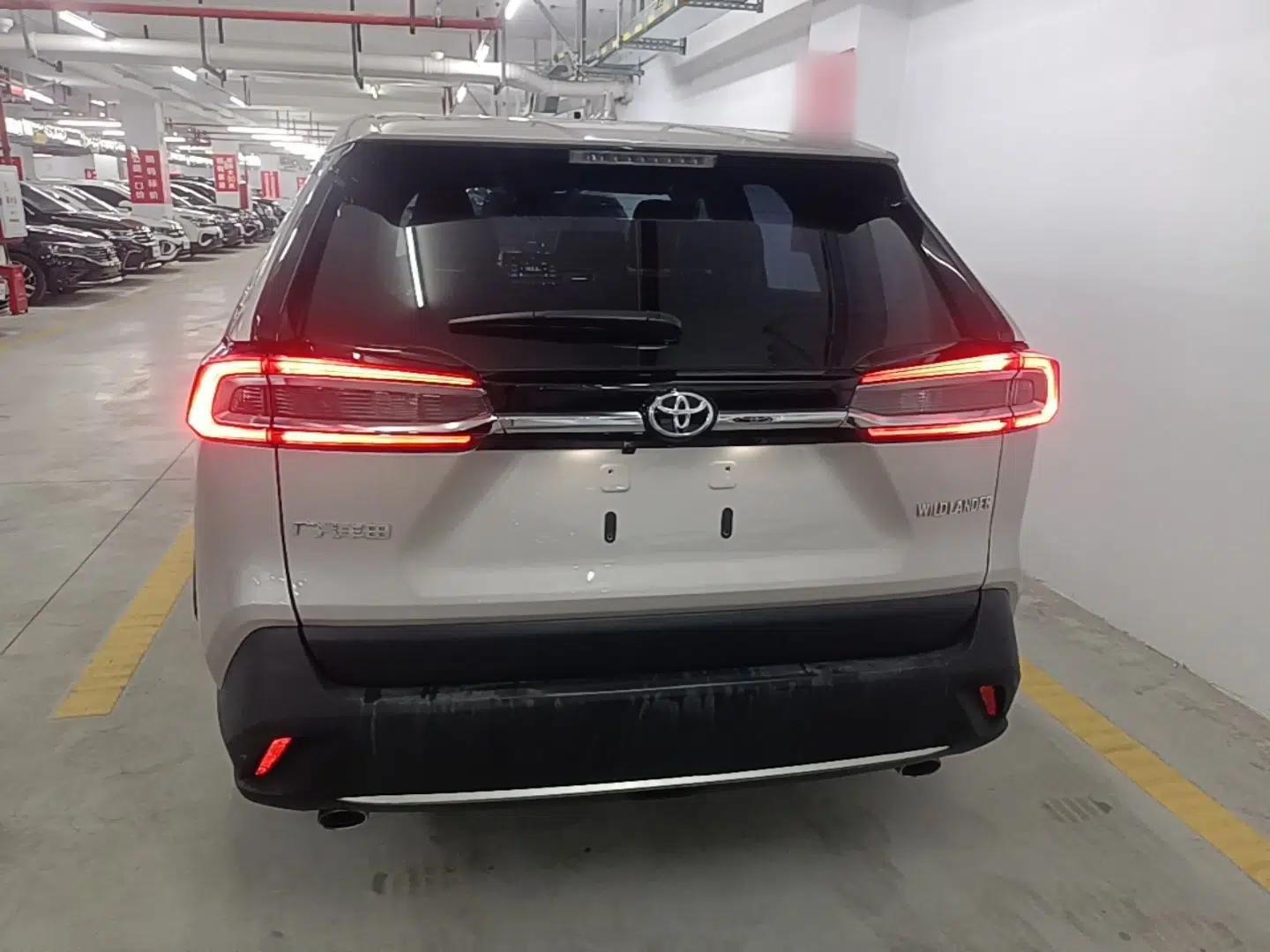 Toyota Wildlander 2020 2.0L CVT Two-Wheel Drive Luxury Edition — миниатюра 5