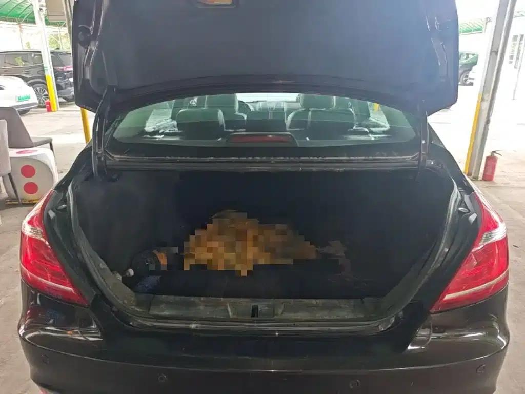 Geely Emgrand 2015 Sedan 1.5L CVT Upward Edition — миниатюра 19