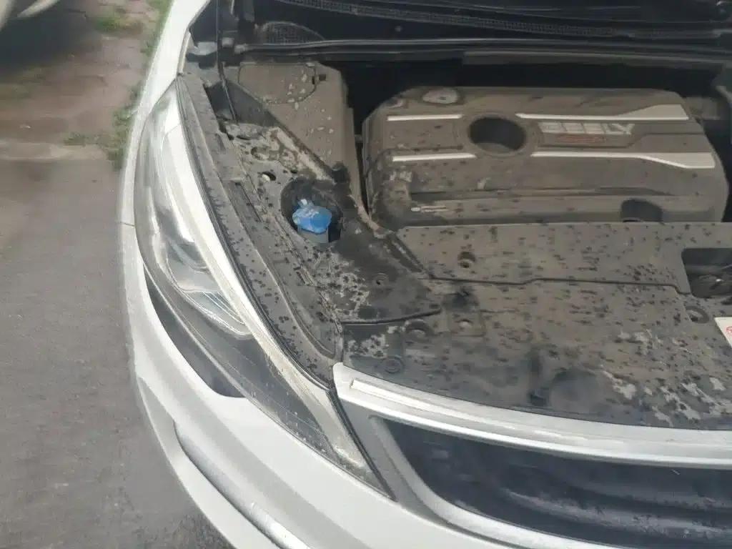 Geely GS 2018 Sport Edition 1.4T Automatic Leading Model — миниатюра 22