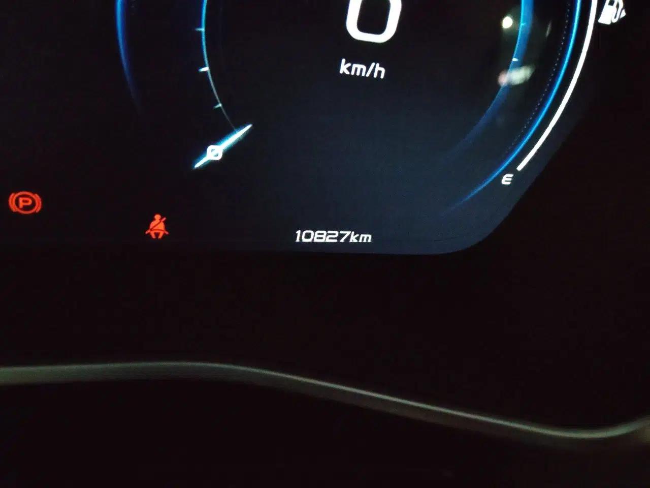 Geely Auto Preface 2023 2.0TD "Only This Verdant Green" Edition — миниатюра 12