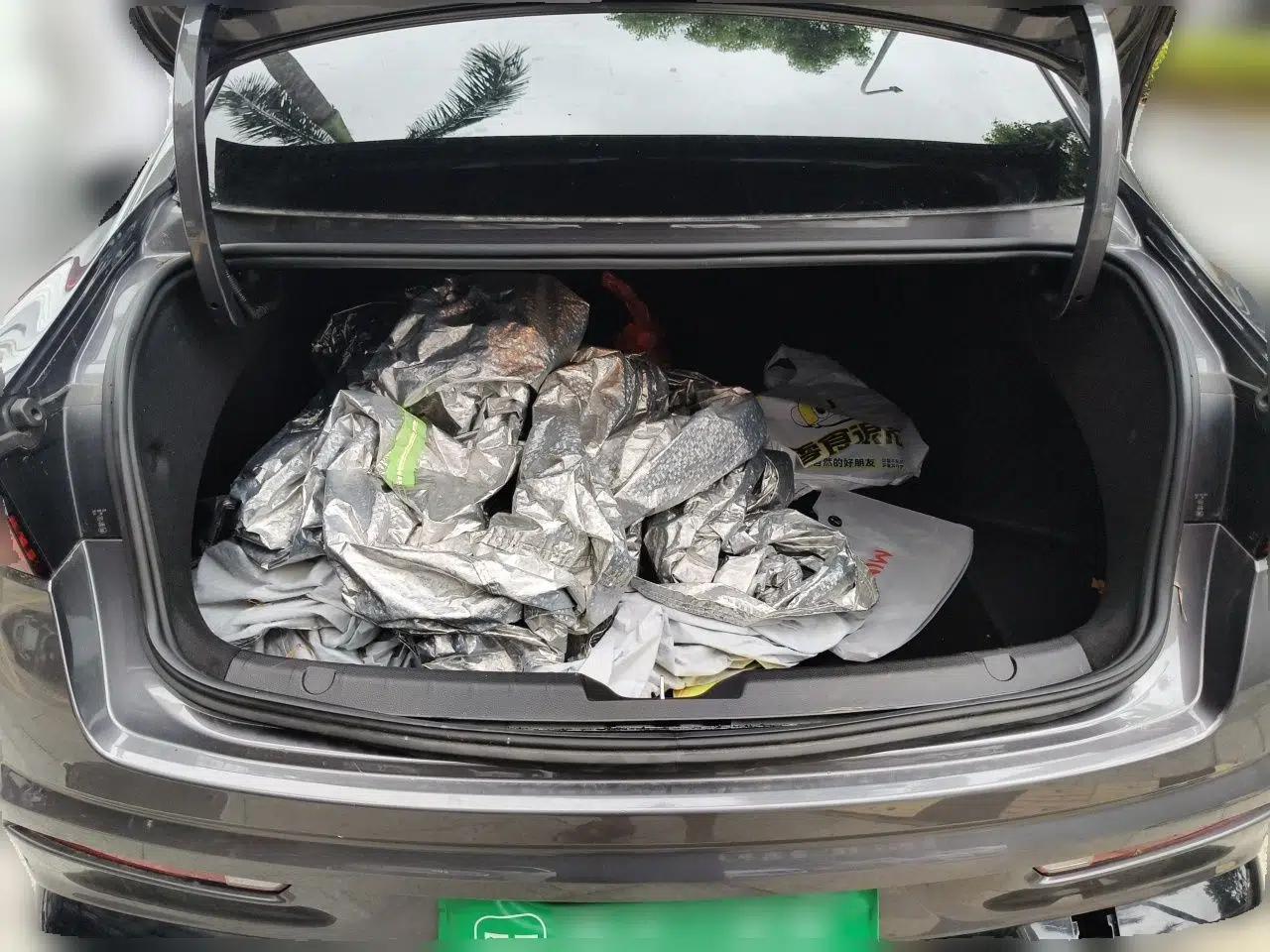 Geely Auto Preface 2025 Dongfang Yao 2.0TD Moonlight Edition — миниатюра 19