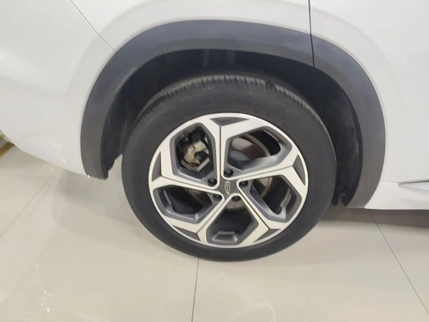 Geely Auto Monjaro L 2021 2.0TD DCT EVO Two-Wheel Drive Prestige Version — миниатюра 11