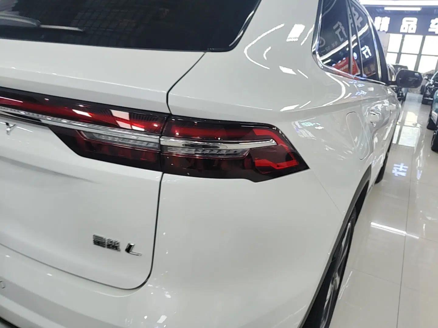 Geely Auto Monjaro L 2021 2.0TD DCT EVO Two-Wheel Drive Prestige Version — миниатюра 9