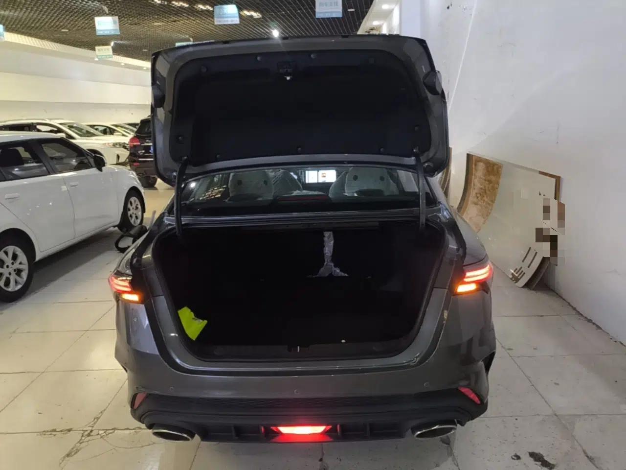 Geely Auto Binray 2024 Binrui COOL 1.5T DCT Longteng Edition — миниатюра 22