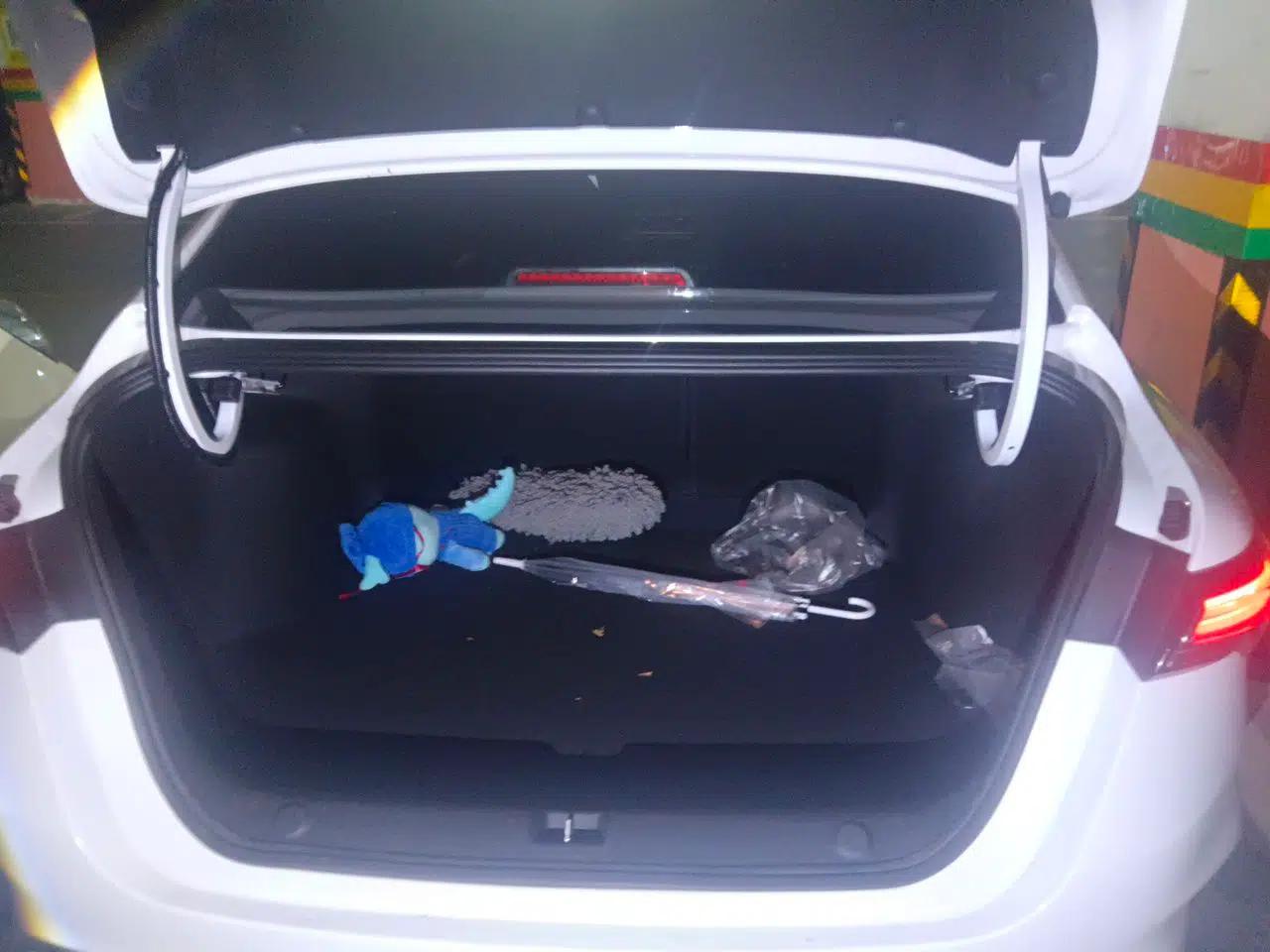 Geely Auto Binray 2024 Binrui COOL 1.5T DCT Longteng Edition — миниатюра 19