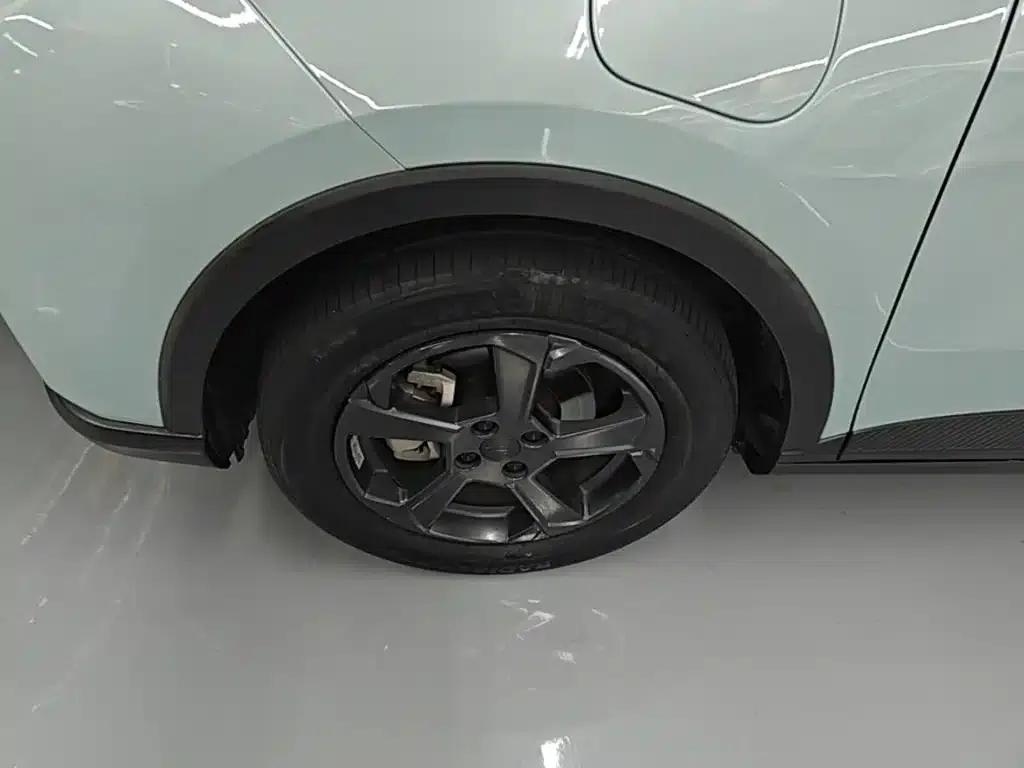 Geely Geometry E Firefly 2022 Model 320KM Cute Tiger 4-Seater — миниатюра 22