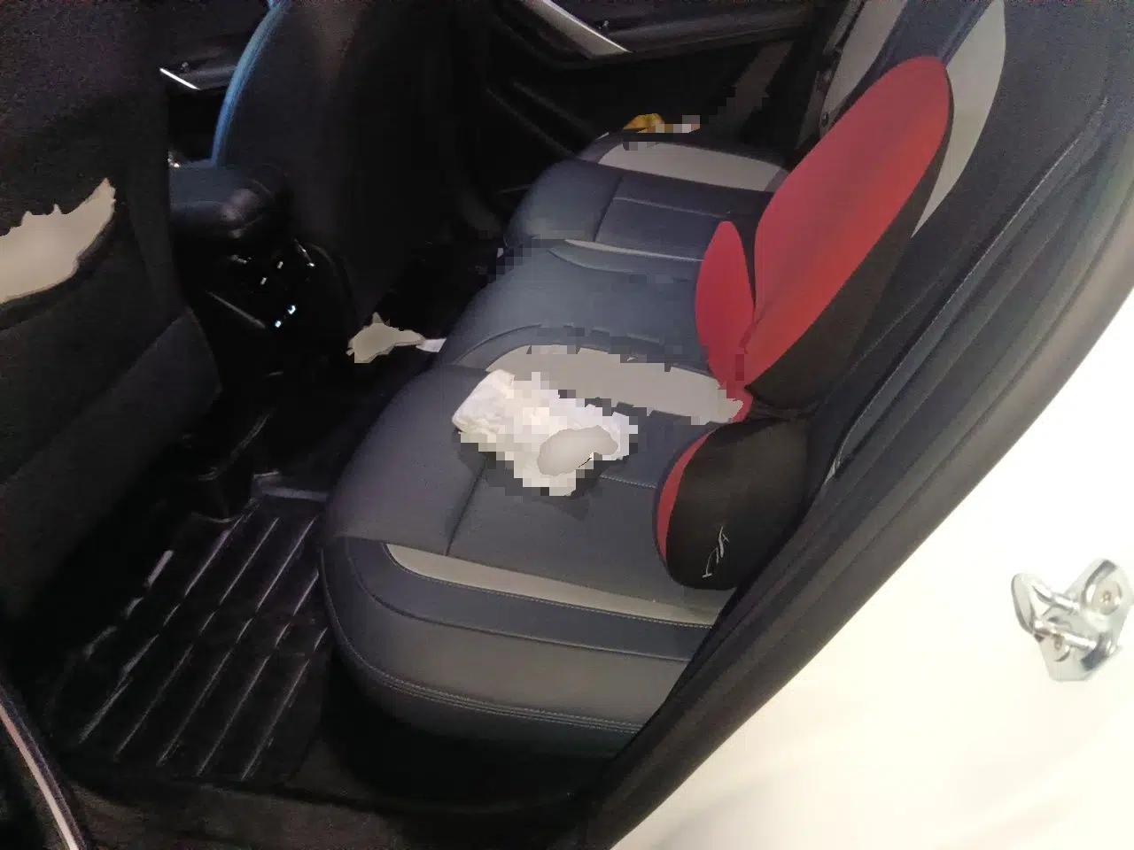 Geely Auto FX11 2024 1.5TD DCT Prestige Edition — миниатюра 17