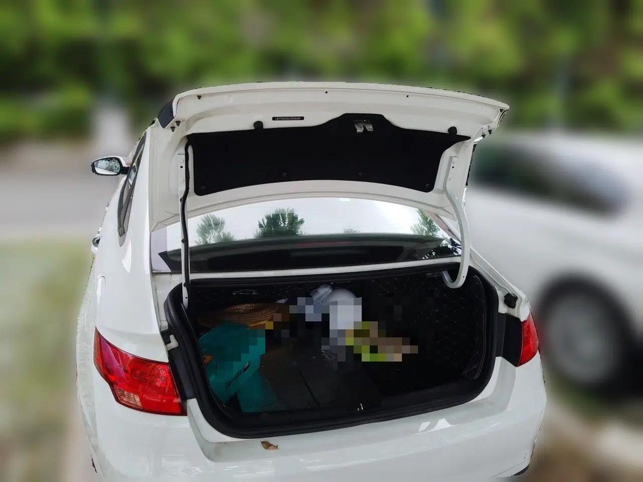 Geely Auto Emgrand GL 2020 1.4T CVT Luxury Model — миниатюра 19