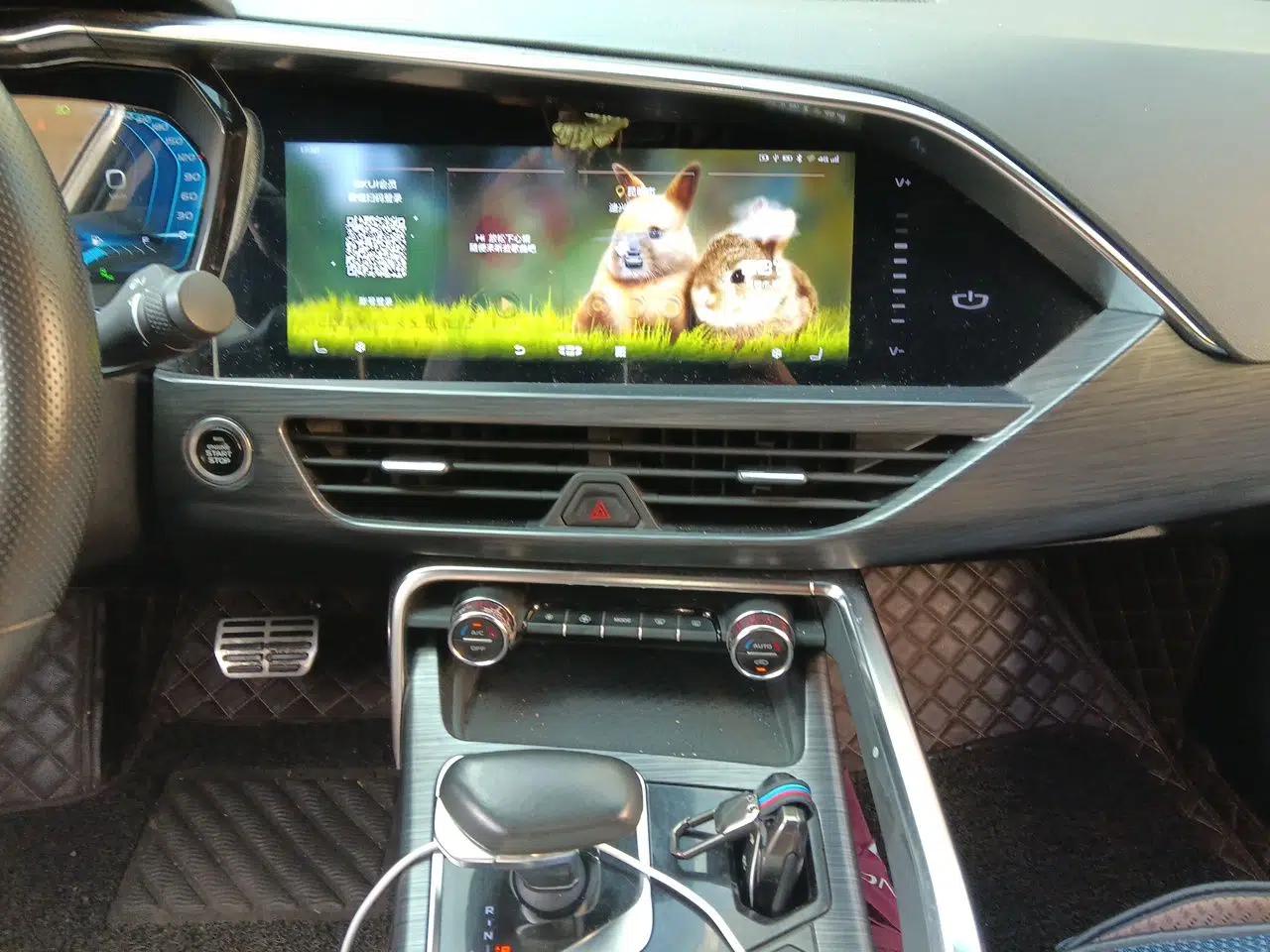 Geely Auto Monjaro 2019 350T Yuxingzhe — миниатюра 13