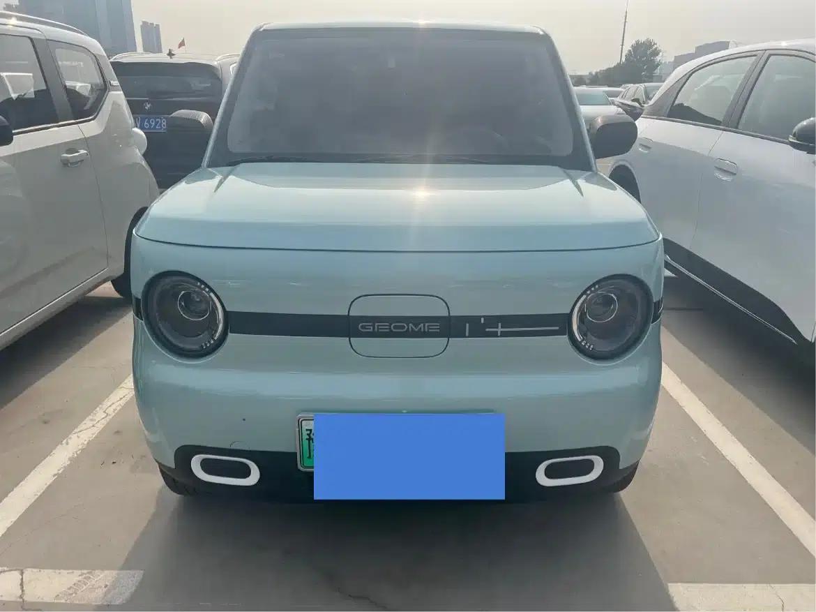 Panda 2025 Panda Mini 210km - Energetic Bear — миниатюра 1