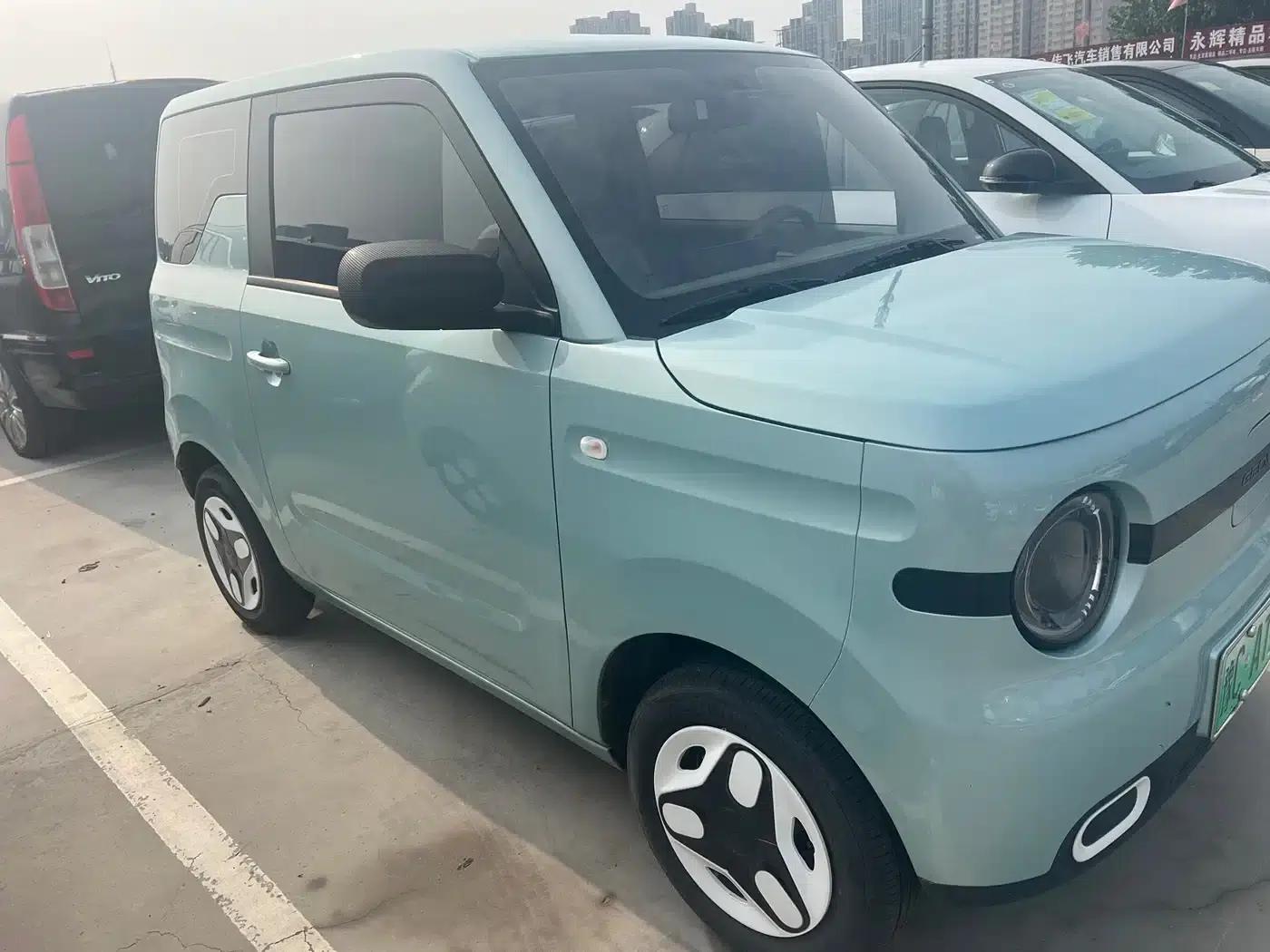 Panda 2025 Panda Mini 210km - Energetic Bear — миниатюра 2