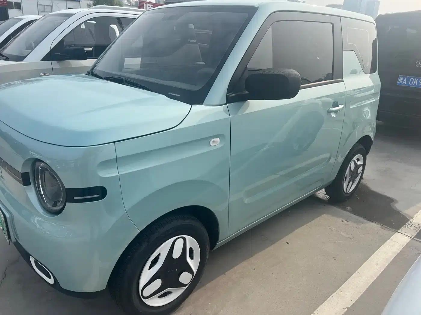 Panda 2025 Panda Mini 210km - Energetic Bear — миниатюра 3
