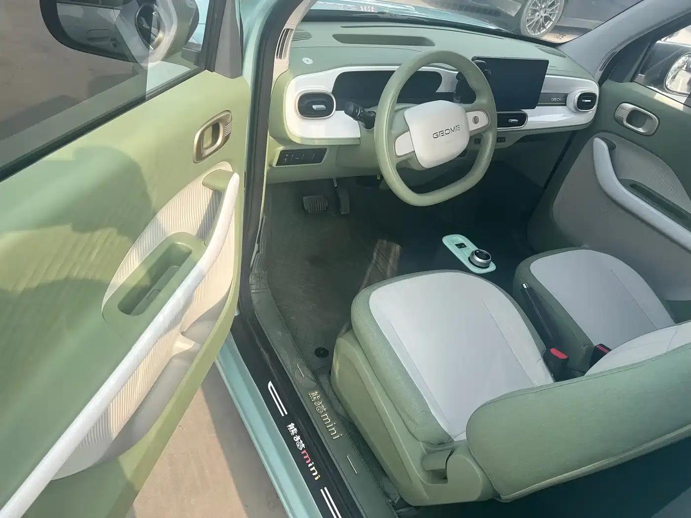 Panda 2025 Panda Mini 210km - Energetic Bear — миниатюра 4